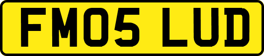 FM05LUD