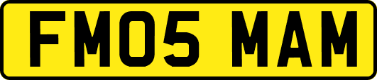 FM05MAM
