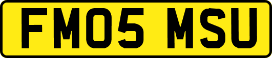 FM05MSU