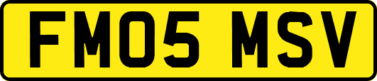 FM05MSV
