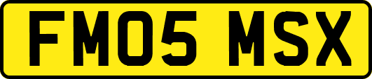 FM05MSX
