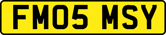 FM05MSY