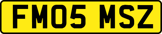 FM05MSZ