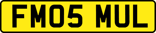 FM05MUL