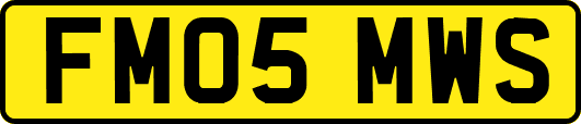 FM05MWS