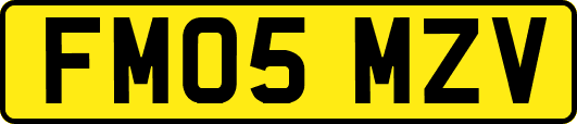 FM05MZV
