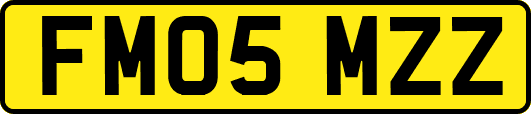 FM05MZZ