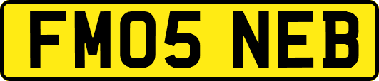 FM05NEB