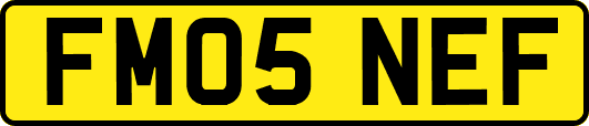 FM05NEF