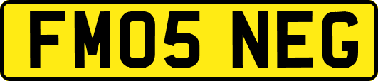 FM05NEG