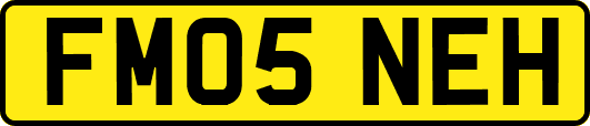 FM05NEH