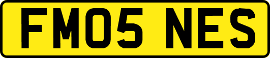 FM05NES