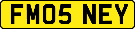 FM05NEY