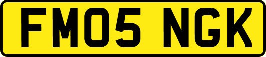 FM05NGK