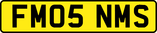 FM05NMS