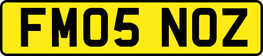 FM05NOZ