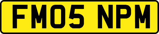 FM05NPM