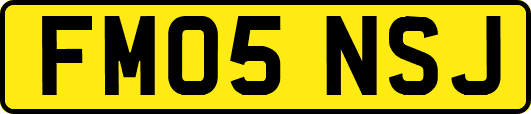 FM05NSJ