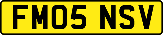 FM05NSV