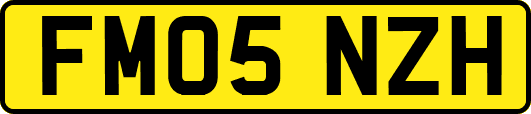 FM05NZH