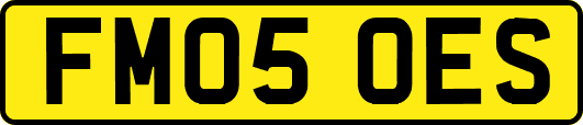 FM05OES