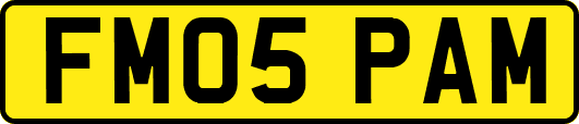 FM05PAM