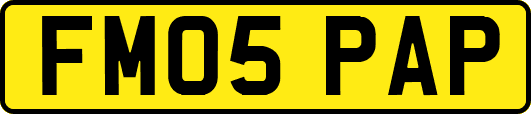 FM05PAP