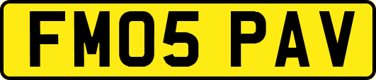 FM05PAV