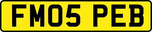 FM05PEB
