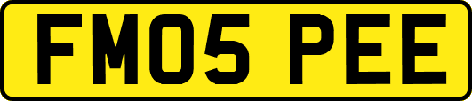 FM05PEE