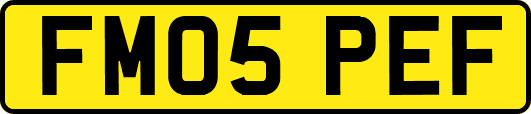 FM05PEF