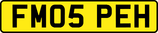 FM05PEH