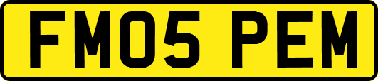 FM05PEM