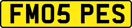 FM05PES