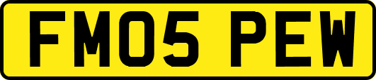 FM05PEW