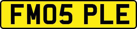 FM05PLE