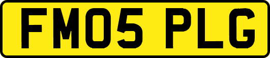 FM05PLG