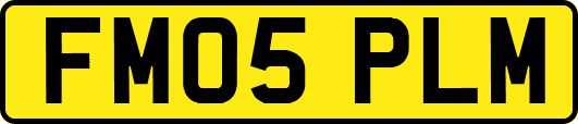 FM05PLM