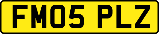 FM05PLZ