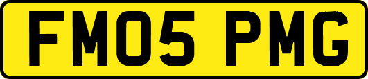 FM05PMG