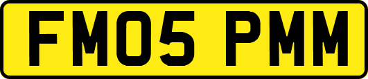 FM05PMM