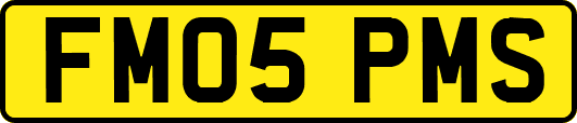 FM05PMS