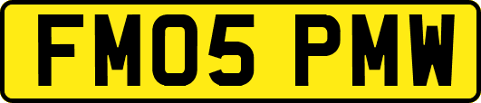 FM05PMW