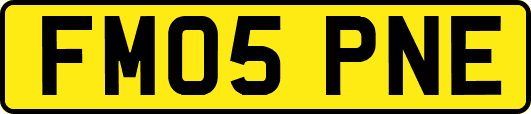 FM05PNE