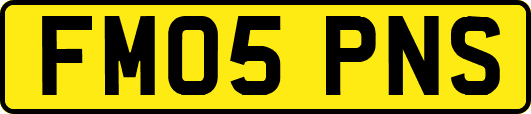 FM05PNS