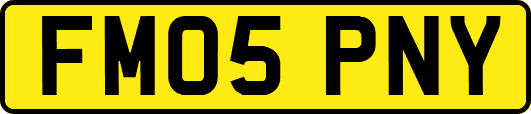 FM05PNY