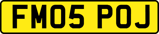 FM05POJ
