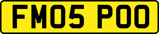 FM05POO
