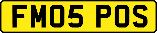 FM05POS