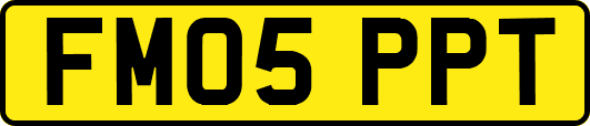 FM05PPT